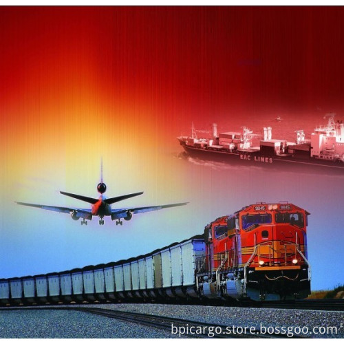 Sea Freight Service From/to Any Chinese Ports